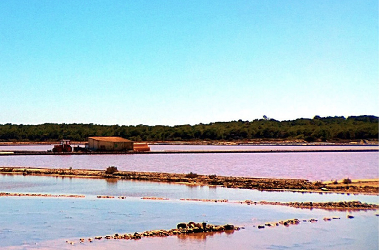 Las Salinas